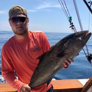 Meet your Posher, Travis